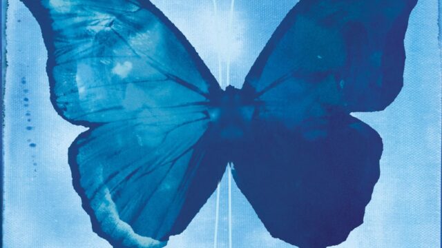 Ed O’Brien Maps Out UK & European Solo Tour With Dave Okumu & ESKA